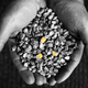 Illustration for article titled GMOs are one solution to an ancient puzzle